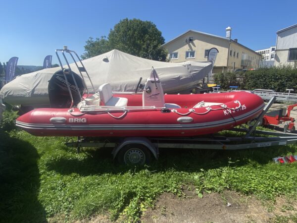 Brig - F450 Mercury 40PS